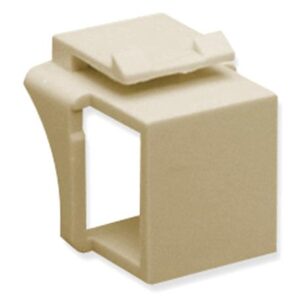 ICC MODULE, BLANK, 10 PK, IVORY
